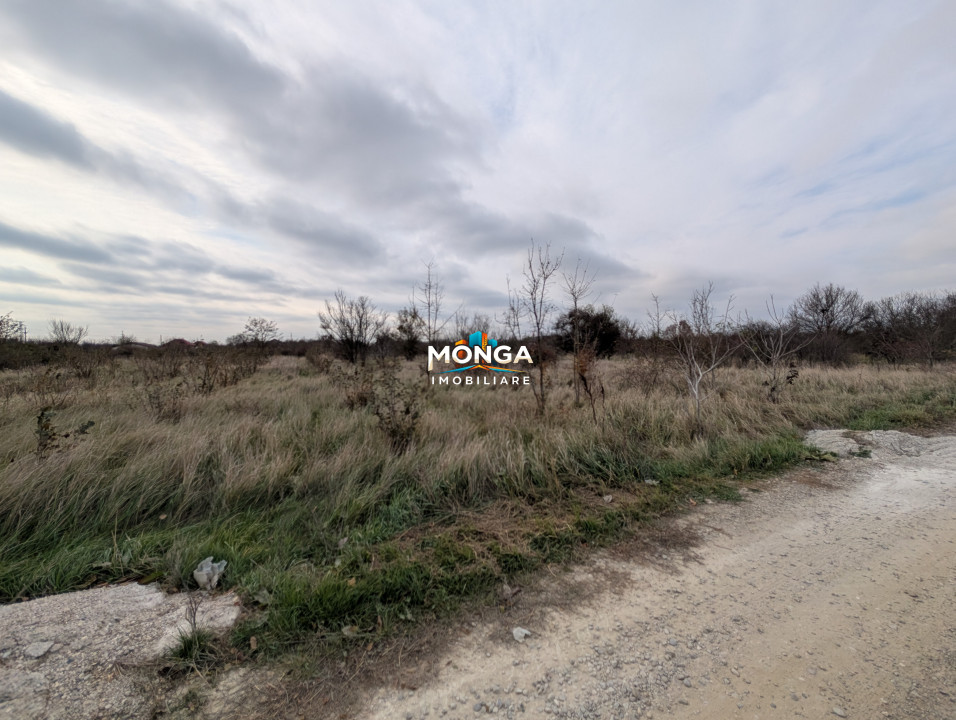 Teren 1000 mp in Tancabesti, cu Certificat Urbanism, zona in curs de dezvoltare