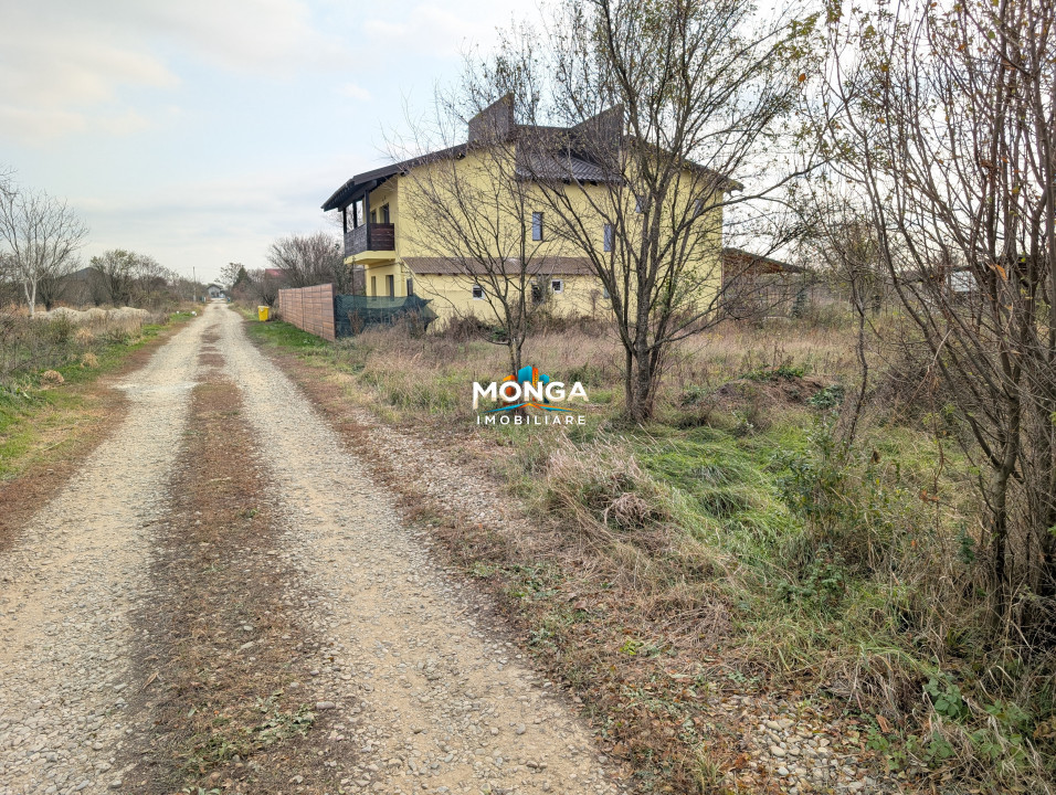 Teren 1000 mp in Tancabesti, cu Certificat Urbanism, zona in curs de dezvoltare