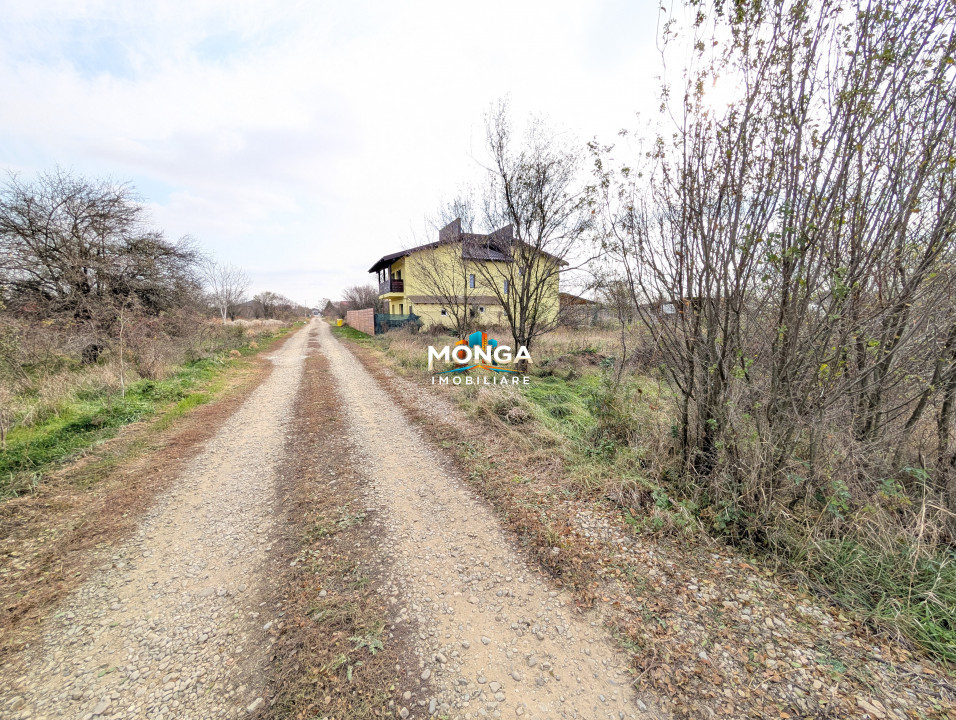 Teren 1000 mp in Tancabesti, cu Certificat Urbanism, zona in curs de dezvoltare