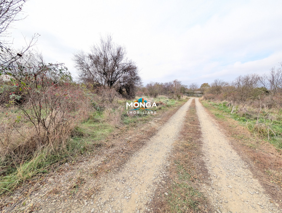 Teren 1000 mp in Tancabesti, cu Certificat Urbanism, zona in curs de dezvoltare