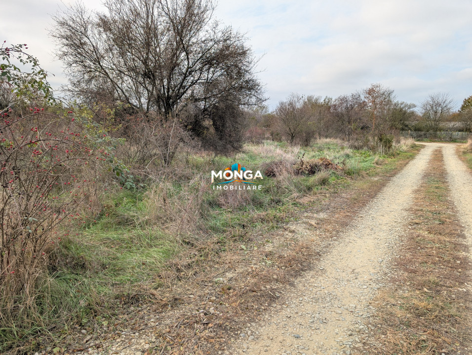 Teren 1000 mp in Tancabesti, cu Certificat Urbanism, zona in curs de dezvoltare