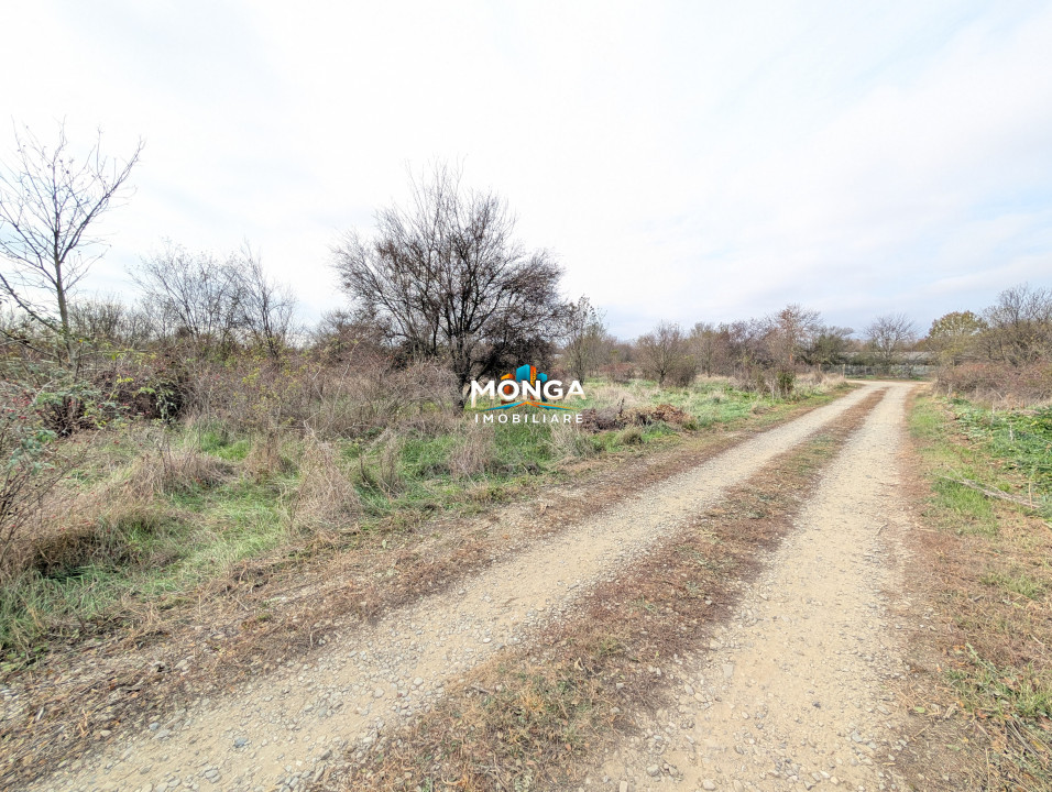 Teren 1000 mp in Tancabesti, cu Certificat Urbanism, zona in curs de dezvoltare