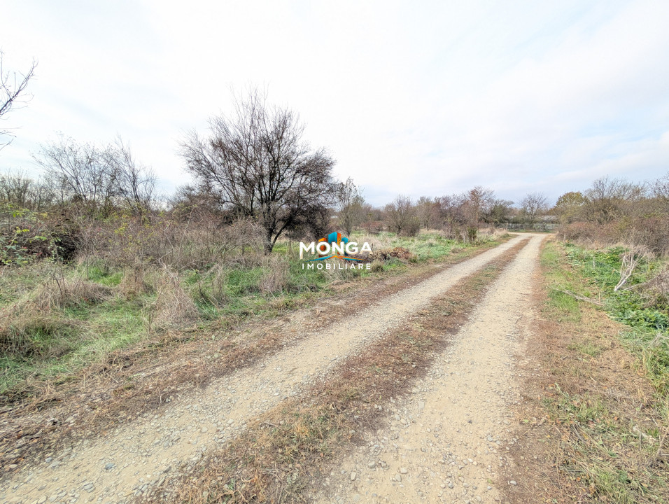 Teren 1000 mp in Tancabesti, cu Certificat Urbanism, zona in curs de dezvoltare