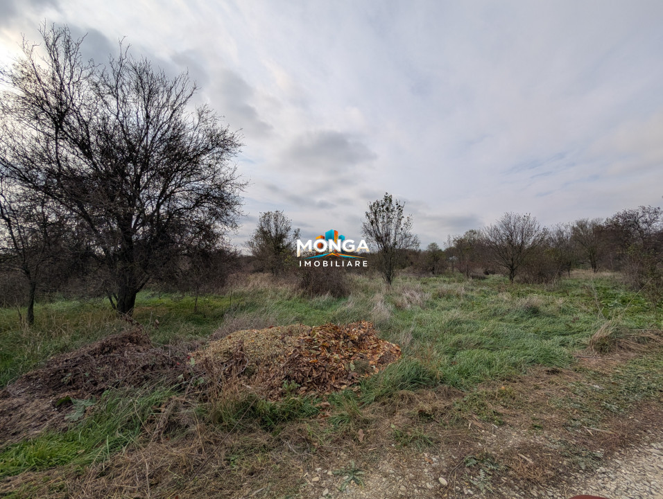 Teren 1000 mp in Tancabesti, cu Certificat Urbanism, zona in curs de dezvoltare