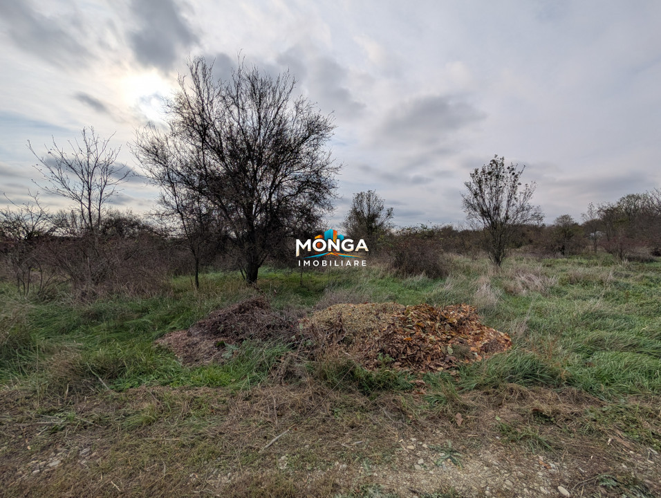 Teren 1000 mp in Tancabesti, cu Certificat Urbanism, zona in curs de dezvoltare