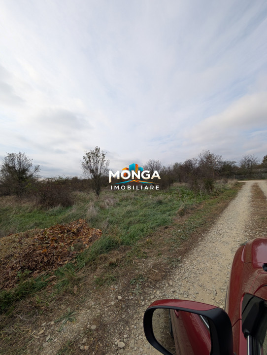 Teren 1000 mp in Tancabesti, cu Certificat Urbanism, zona in curs de dezvoltare