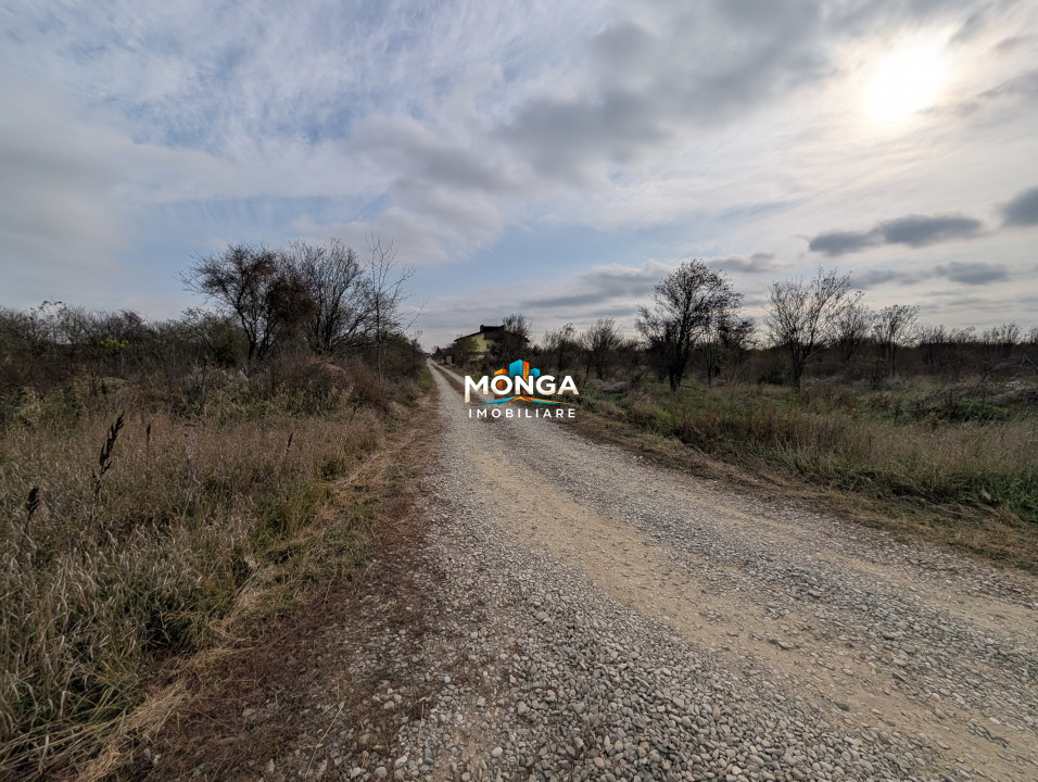 Teren 1000 mp in Tancabesti, cu Certificat Urbanism, zona in curs de dezvoltare