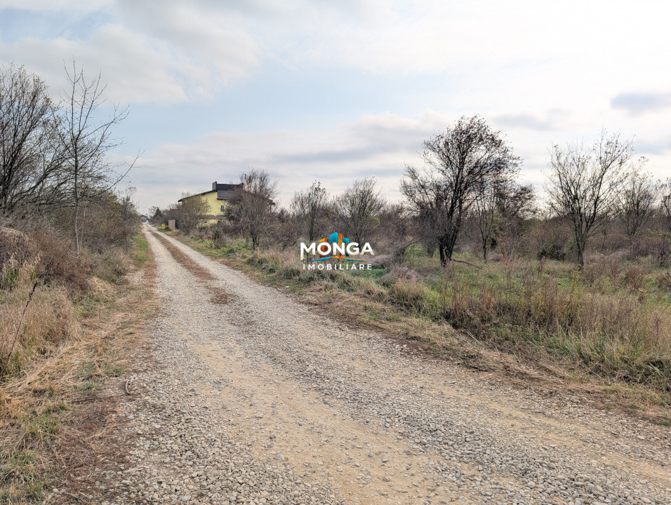 Teren 1000 mp in Tancabesti, cu Certificat Urbanism, zona in curs de dezvoltare