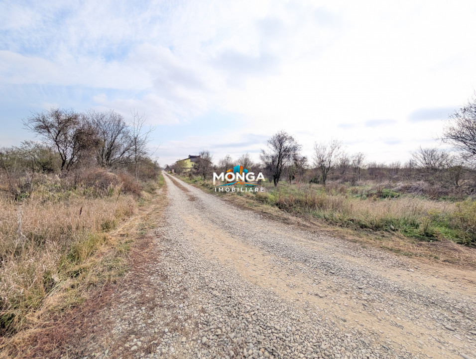 Teren 1000 mp in Tancabesti, cu Certificat Urbanism, zona in curs de dezvoltare