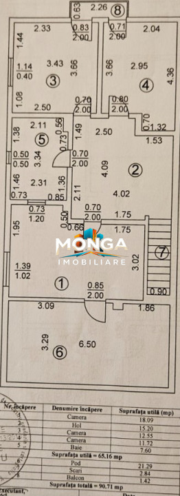 Casa 8 camere 335mp | 0 comision | Baneasa | 360mp teren | Mobilat Premium