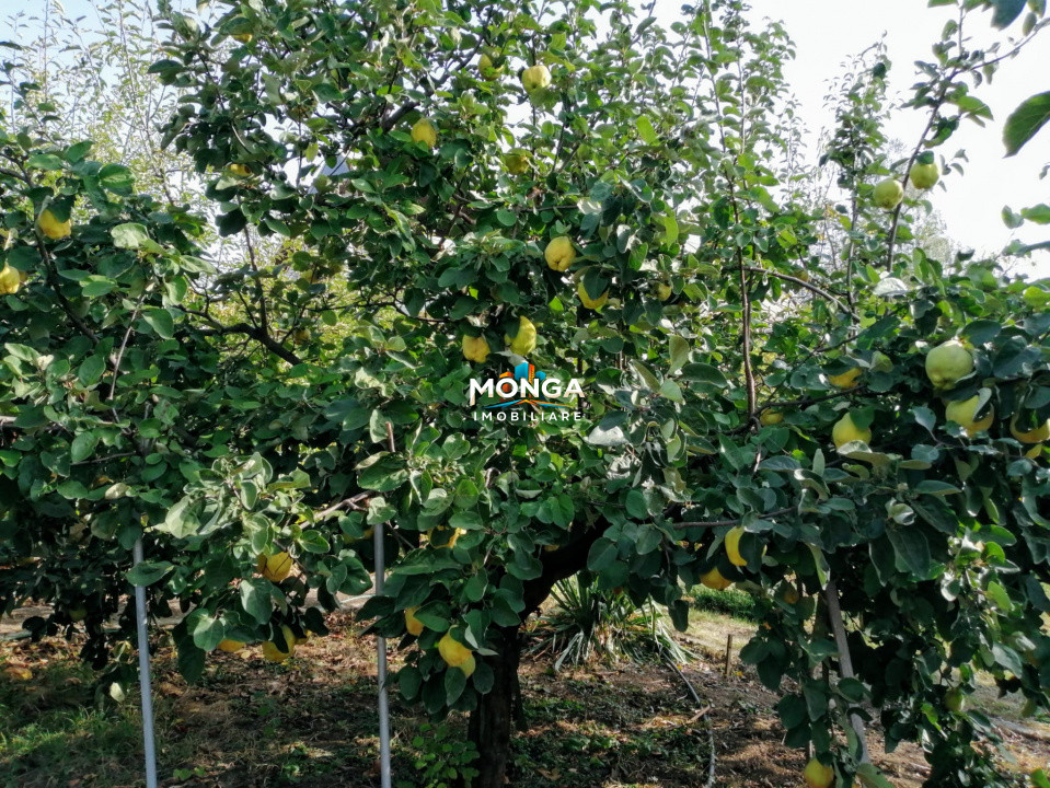 Casa 3 camere 100 mp | teren 937 mp | Vladeni central | mansarda |mobilat utilat